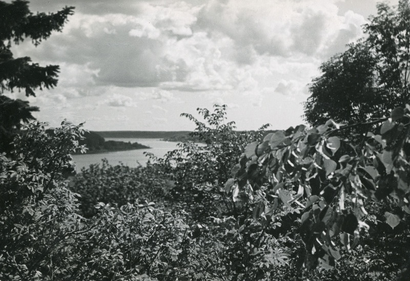 Vaade Viljandi järvele.