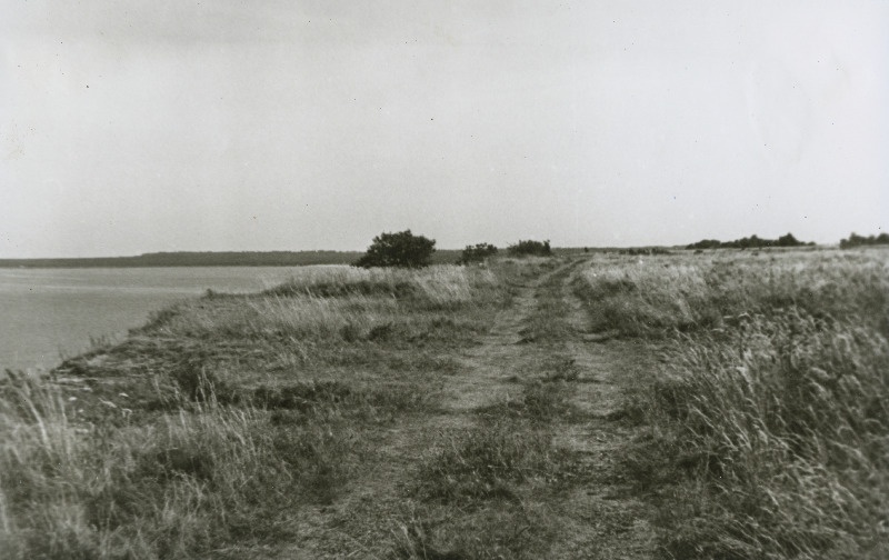 Türisalu panganeemik.