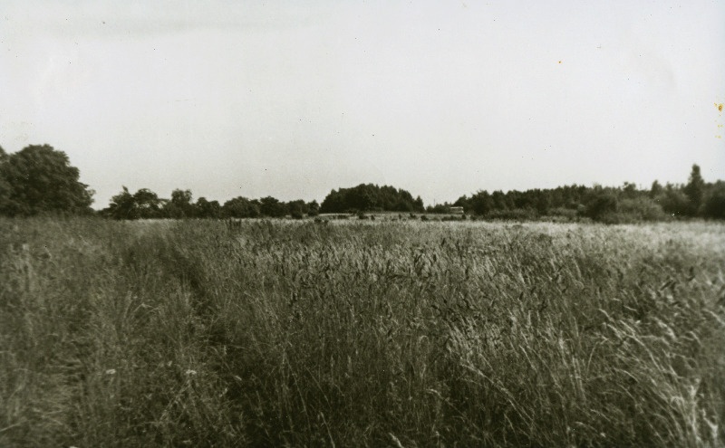 Türisalu panganeemik.