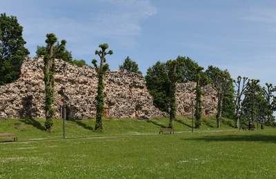 fotopostkaart, Viljandi, II Kirsimägi, lambad, müür, 1912 rephoto