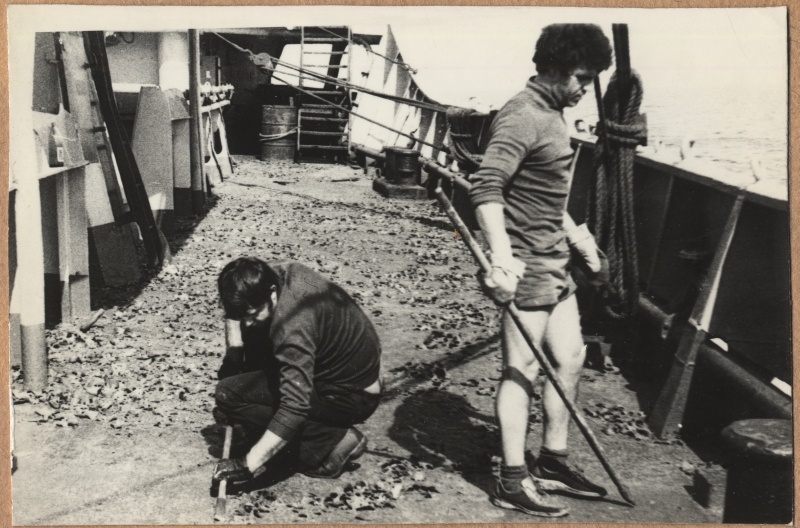 Laupäevak laevas. Madrus kraabib tekil roostet