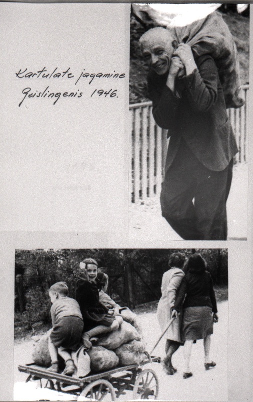 Eestlased paguluses. Kartulite jagamine Geislingeni DP (deported persons) laagris.