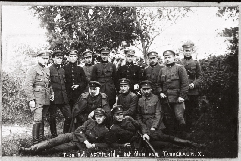 Vabadussõda. 2.Jalaväepolgu 1.pataljoni ohvitserid Balvis (Bolovsk). Vasakult: I rida - [2.roodu nooremohvitser alamleitnant Jakob Aunvere?], 1.roodu nooremohvitser ohvitseri asetäitja Peeter Kass; II rida - 1.roodu ülem leitnant Voldemar Hint, 4.roodu vanemohvitser alamleitnant Robert Lamp, ?; III rida - [1.roodu nooremohvitser lipnik Eduard Ohtra?], ?, 3.roodu ülem lipnik Anton Pori, 4.roodu ülem leitnant Karl Lamp, ?, pataljoniülem kapten Felix Tannebaum (Tanner), 2.roodu ülem leitnant Johannes Erik, ?, 4.roodu nooremohvitser lipnik Karl Jalak (Jalakas).