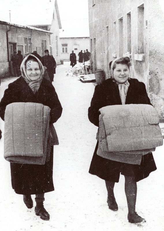 Elu Geislingeni DP (displaced persons) laagris. Tekkide jagamine.