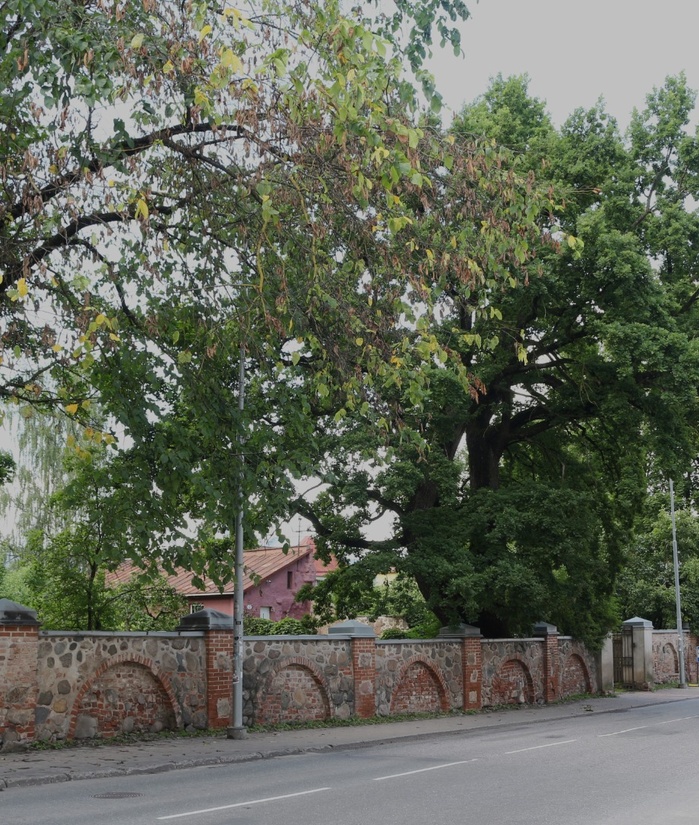 Vaade Tartu linnas rephoto