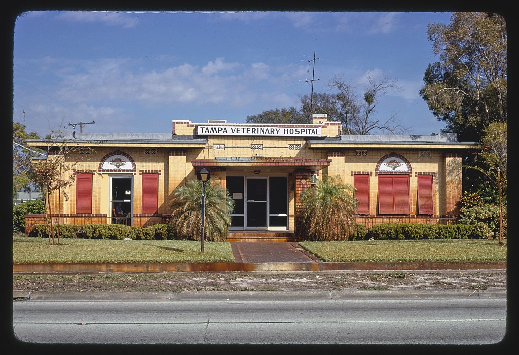 Tampa Veterinary Hospital, Tampa, Florida (LOC)