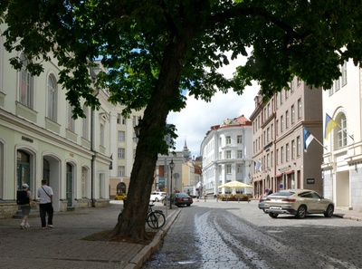 Vaade Karja tänavale rephoto