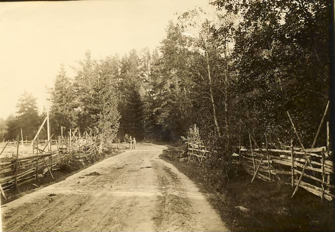 Võsu