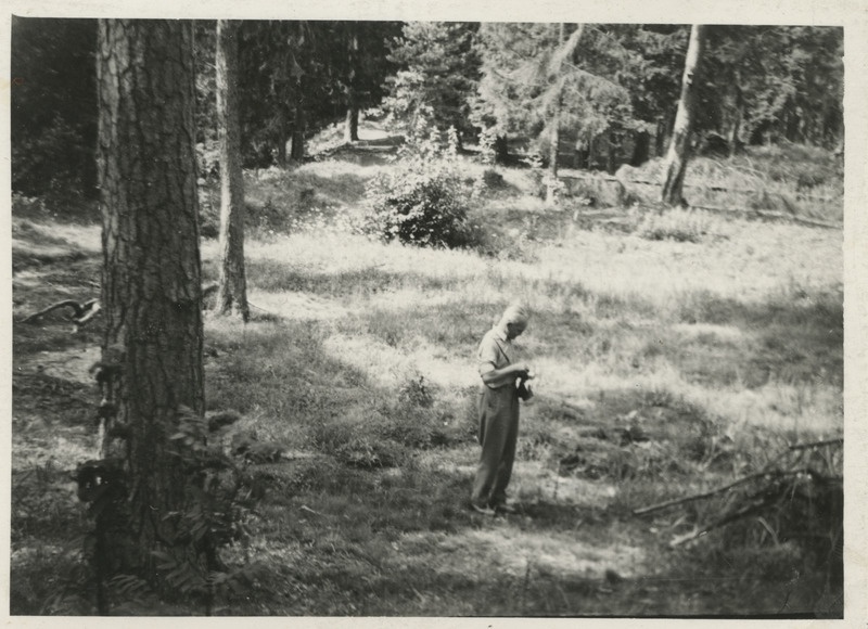 August Traat Padise linnamäel