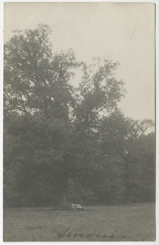 Ungru mõisapark. Esiplaanil pink, mille peal käekott, taga jalgratas. Ümberringi puud