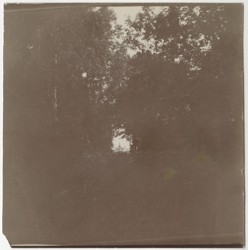 Vaade läbi metsa Ungru lossile