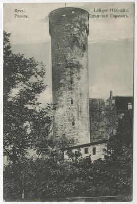 Pika Hermanni torn  duplicate photo