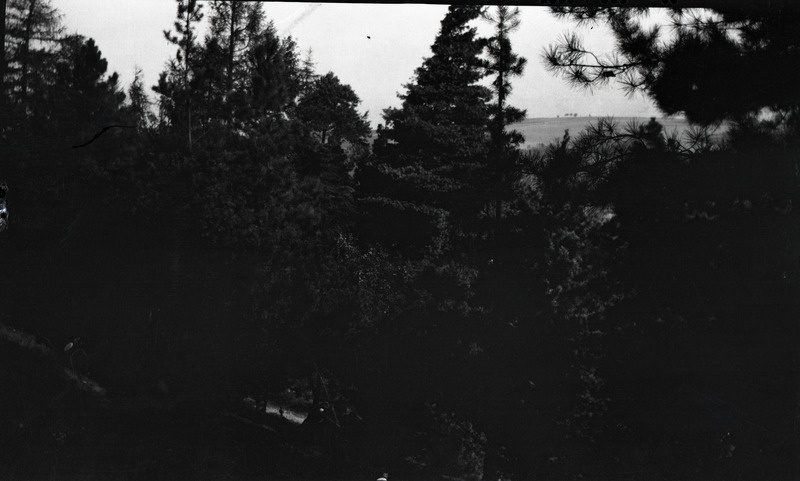 Maastikufoto, puude varjus veekogu