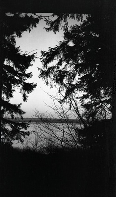 Vaade puude varjus olevale veekogule  duplicate photo