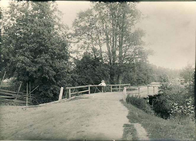 Võsu