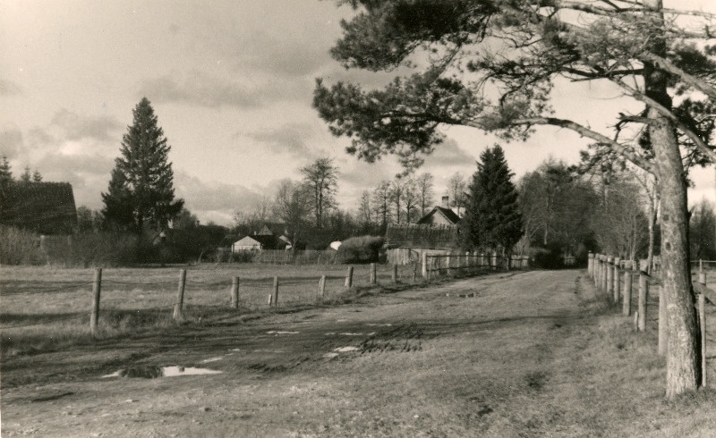 Kärdla alevi vaade.