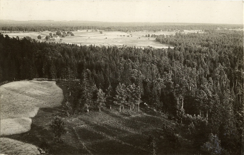Vaade Kõpu tuletornist.