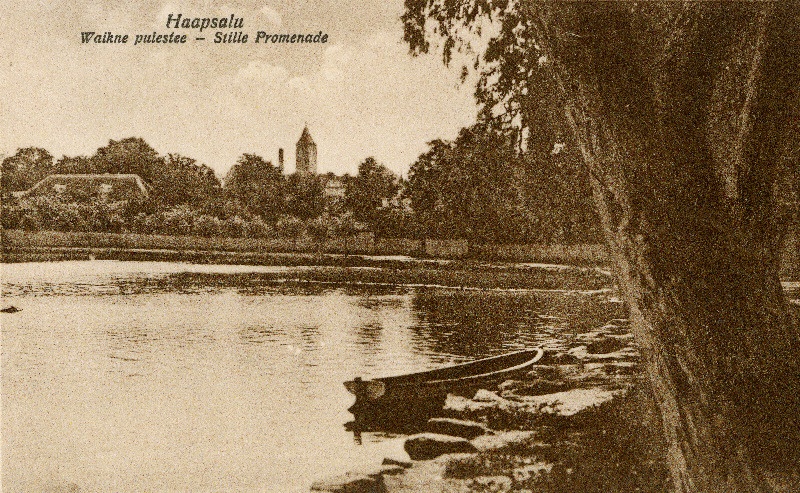 Vaade Vaiksele puiesteele.