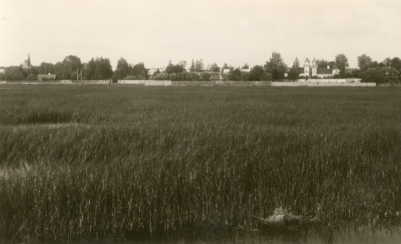Vaade hoonetele ja Vaiksele puiesteele Haapsalu rohtukasvanud lahesopi ääres.