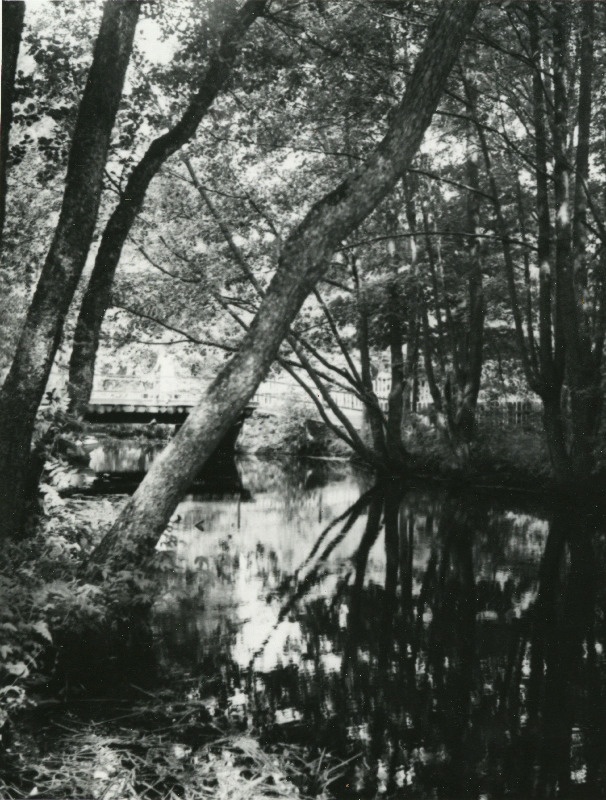 Lihula ordulinnuse vallikraav.