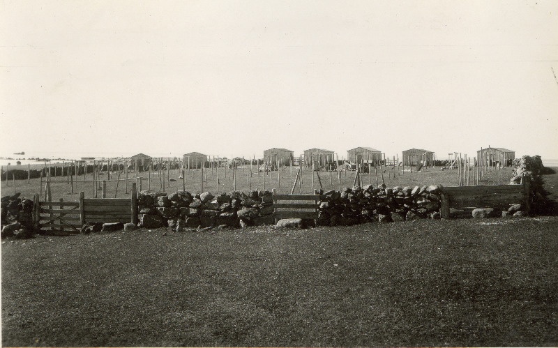 Võrgumajad võrguaias Osmussaarel.