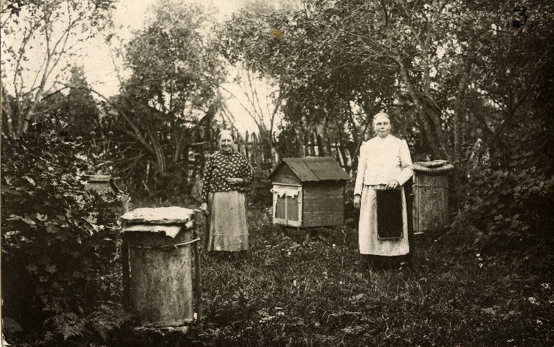 Talu raam-ja pakktarud. Poanse küla.