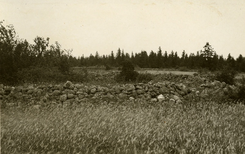 Vaade Võhma maalinna välisvallilt sisevallile.