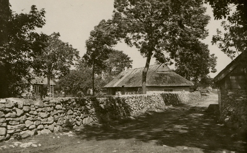 Tänav Igakülas.