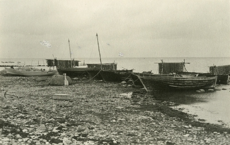 Kalasadam Vahtraste küla all.