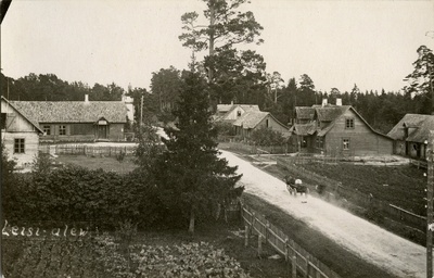 Leisi alevik.  duplicate photo