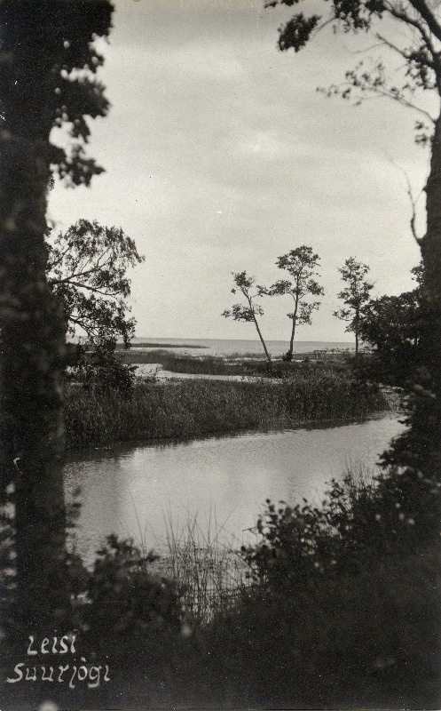 Leisi Suurjõe suudmeala.