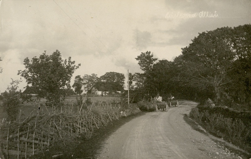 Kihelkonna puu-ja kiviaedadega maanteele, taga Kihelkonna Mihkli kiriku köster Krapsi Alliste talu.