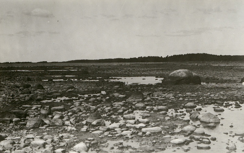 Kuusnõmme mererand.