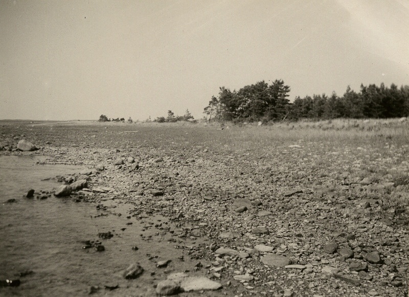 Veise saar Kuusnõmme lahes.