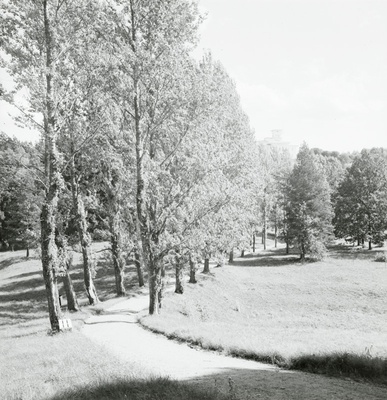 Toila Oru lossi park  similar photo