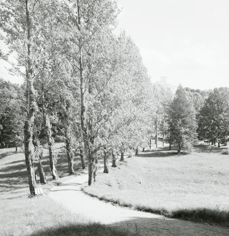Toila Oru lossi park