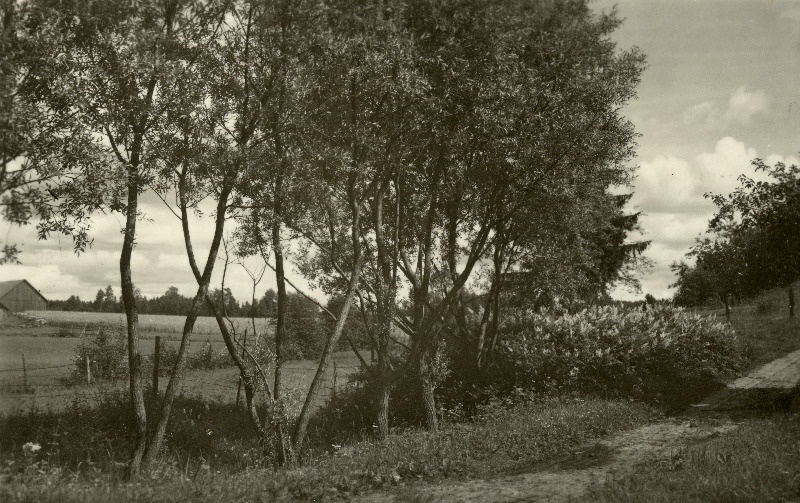 Vanamõisa küla.