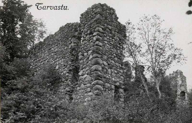 Tarvastu ordulinnuse varemed.