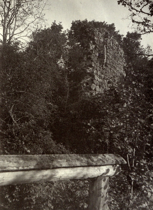 Tarvastu ordulinnuse varemed.