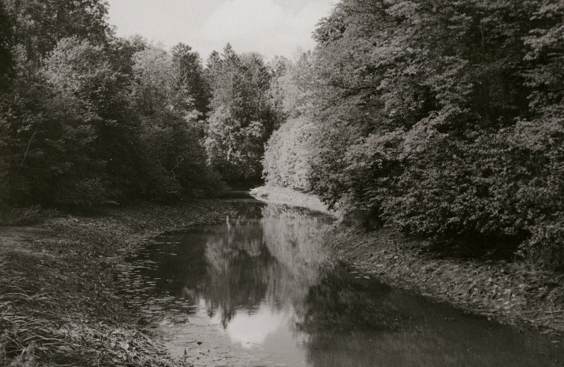 Tarvastu ordulinnuse vallikraav.