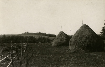 Prigi kalmemägi Tohvri talu juures. Ees talu heinakuhjad.  duplicate photo