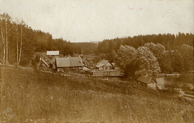 Peedu veski Elva jõe ääres.