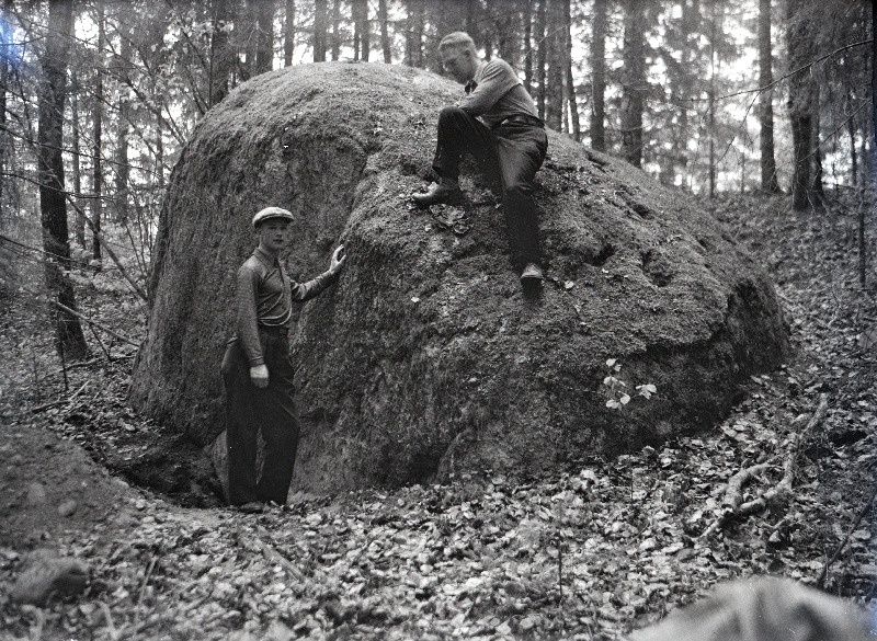 Rändrahn Härjamäel Vanamõisa külas.