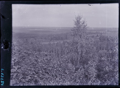 Paukjärve ümbruse maastik.  duplicate photo