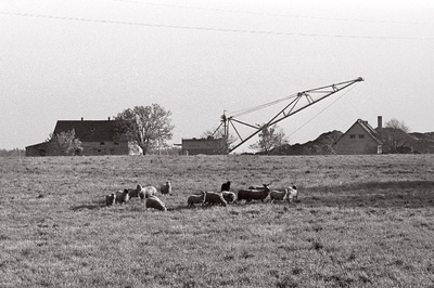Maardu karjääri ja põllumajandusajaloolise kaitseala piir Rebala külast põhja pool.  duplicate photo