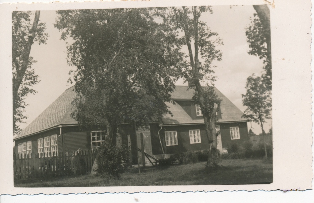 Tammiku algkool Roela vald