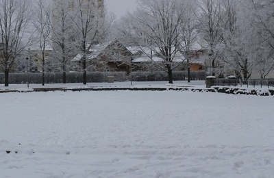 Postkaart Andrus Ansipi kogust rephoto