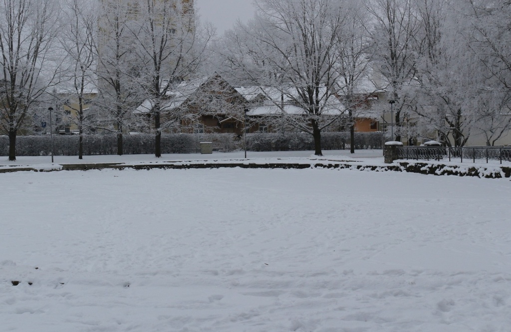 Postkaart Andrus Ansipi kogust rephoto