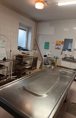 Kuressaare Keskhaigla lahanguarst Jermolai Rodionov. rephoto