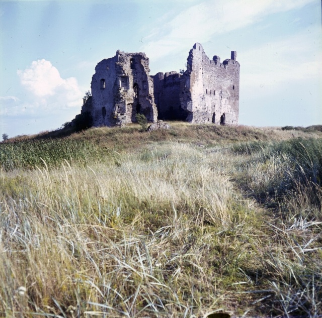 Toolse lossi varemed.